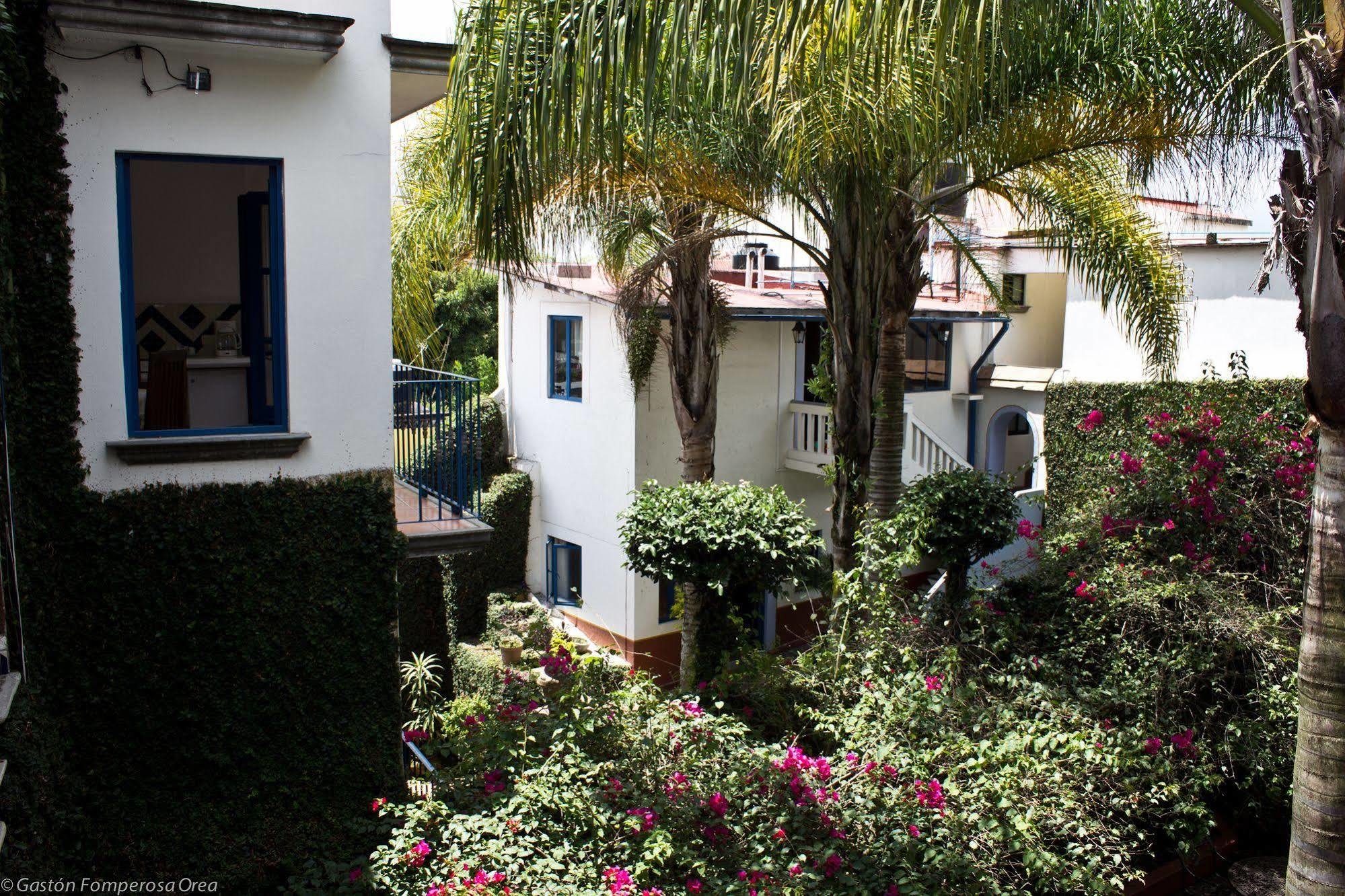 Posada Del Cafeto Xalapa Extérieur photo